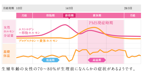 PMSの定義