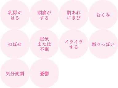 PMSの定義
